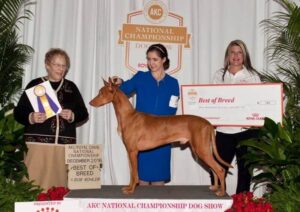 Taylor Del Duca with her dog on the dog show podium