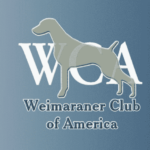 The Weimaraner Club Of America