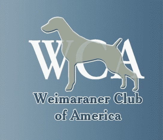 Picture of The Weimaraner Club Of America