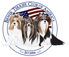 Picture of Biewer Terrier Club of America