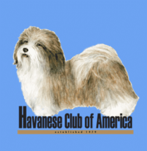Picture of The Havanese Club Of America, Inc.