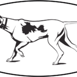 Westminster Kennel Club