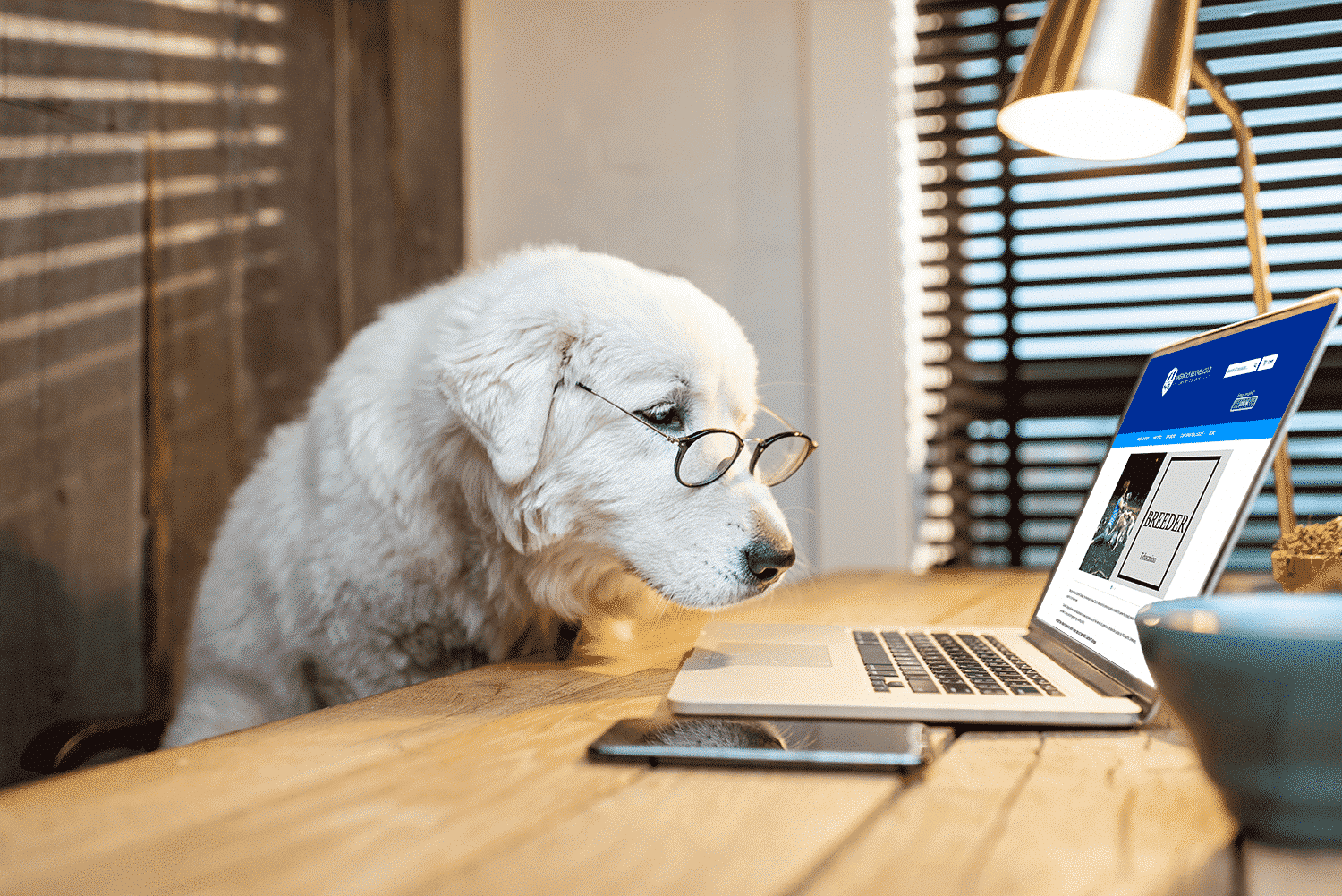 Dogs Virtually | How Cyber Classrooms Connect the Dog Community & Dog Virtual Traning