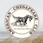 American Chesapeake Club