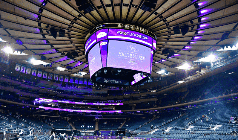 The Westminster Kennel Club Dog Show returns home to New York City in 2022