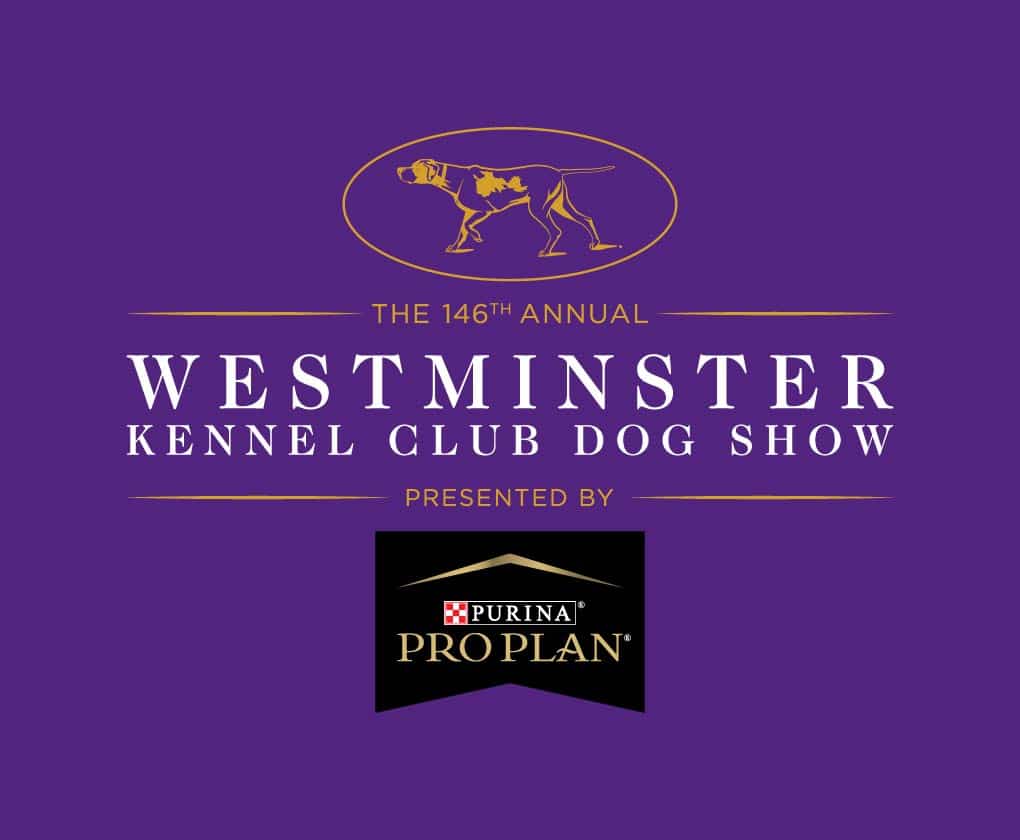 Long Island, New York School Superintendent To Select Best In Show At The 146th Annual Westminster Kennel Club Dog Show