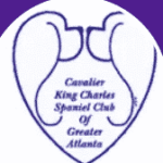 Greater Atlanta AKC Cavalier club