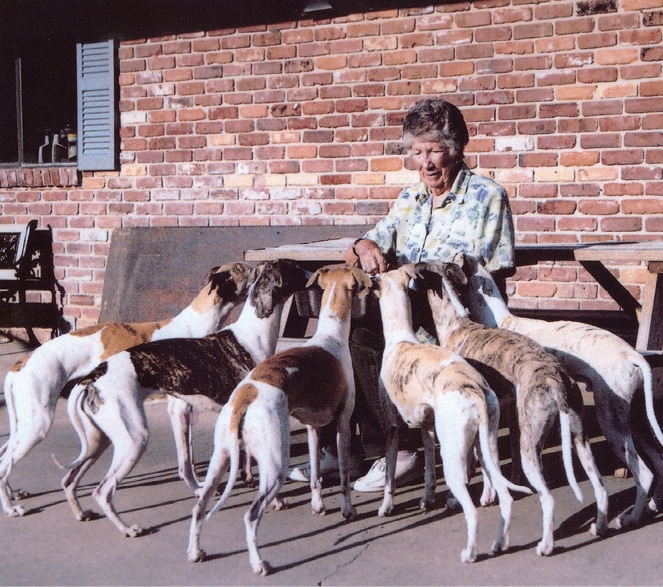 Carol Harris with her Whippet And Italian Greyhound dogs from Bo-Bett Farm