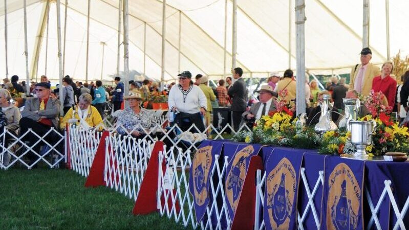 Montgomery County Kennel Club dog show