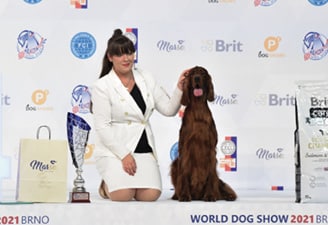 World Dog Show