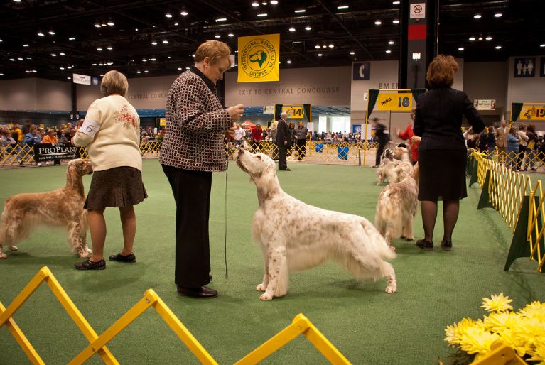 International Kennel Club Of Chicago Announces Dates And Venue For Iconic Show’s Return