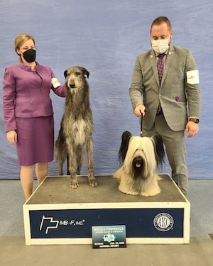 Picture of Middle Peninsula Kennel Club Of Virginia