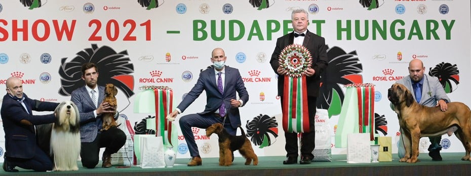 FCI European Dog Show 2021 | Budapest