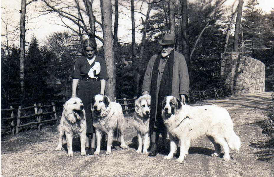 Historical Preservation of The Great Pyrenees