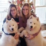 Snowbright Samoyeds | Terri & Rachel Sigulinsky