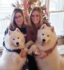 Picture of Snowbright Samoyeds | Terri & Rachel Sigulinsky