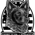 The Mudi Club of America