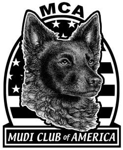 The Mudi Club of America
