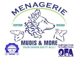 Menagerie Mudis & More | Theresa Stilger
