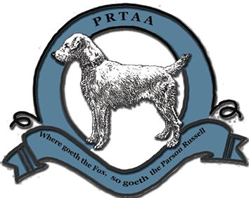 Picture of The Parson Russell Terrier Association of America