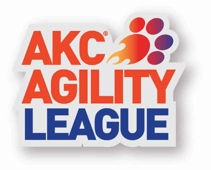 AKC AGILITY LEAGUE, AMERICAN KENNEL CLUB AGILITY LEAGUE