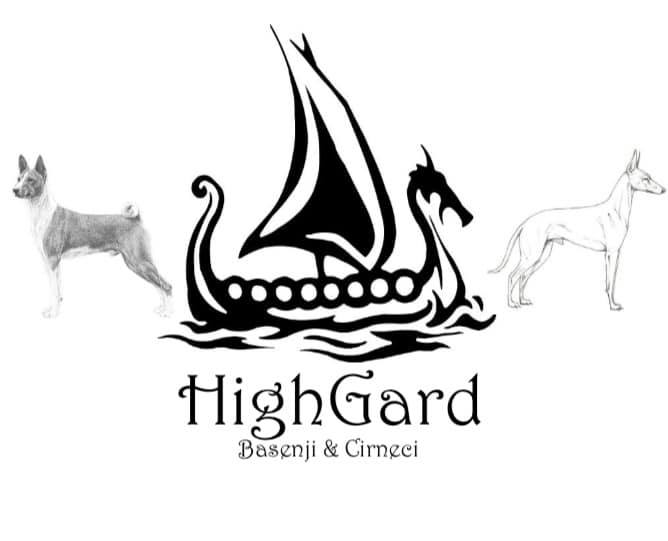 HighGard Kennels - Basenjis and Cirnechi | Heather Galford