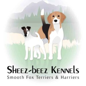 Sheez-Beez Kennels - Smooth Fox Terriers & Harriers | Sheila Allen