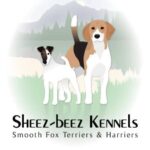 Sheez-Beez Kennels | Sheila Allen