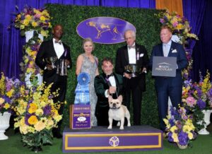 2022 Westminster Non-Sporting Group Judge Evalyn Gregory & Non-Sporting Group Winner - French Bulldog Fox Canyon's I Won The War At Goldshield CGCA CGCU TKN