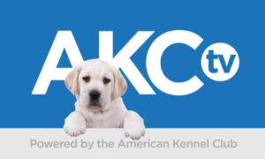Lone Star State Classic Live Streams Only on AKC.tv
