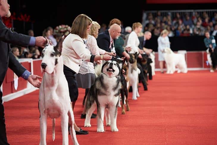 Barbara Dempsey Alderman: The Loss of a Legend And Those Darn AKC Groups Realignment Questions