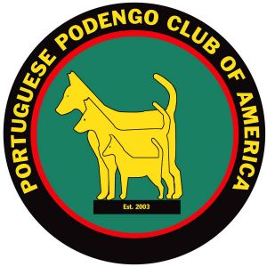 Picture of Portuguese Podengo Pequenos of America