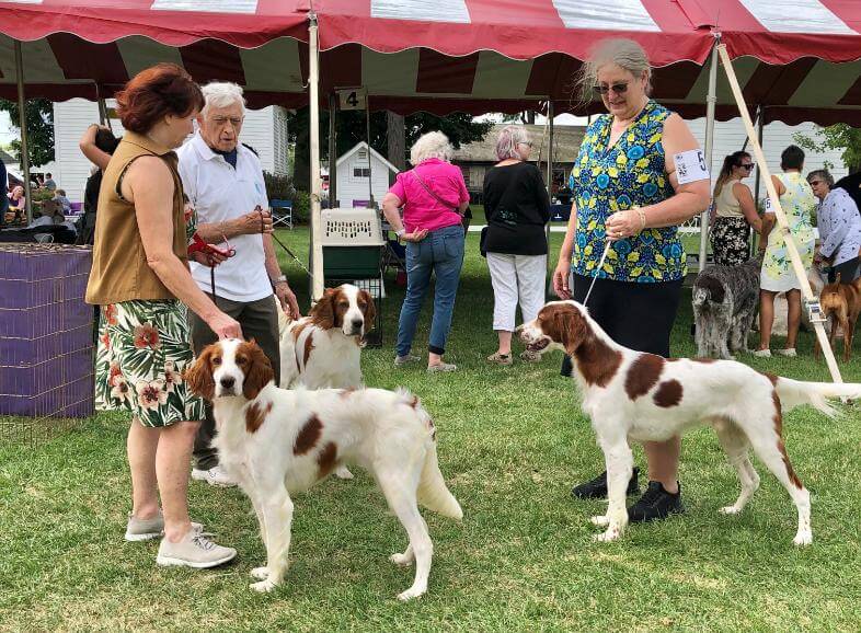 Burlington Wisconsin Kennel Club Dog Show