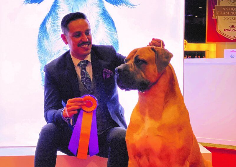 Fernando Moreno with his Qubitron Boerboel - Working Group dog breed