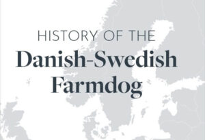 Danish-Swedish Farmdog origins