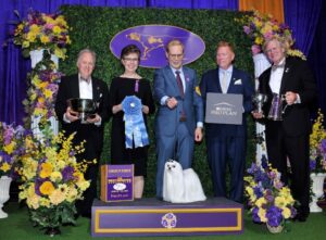 Dog Show Scenarios