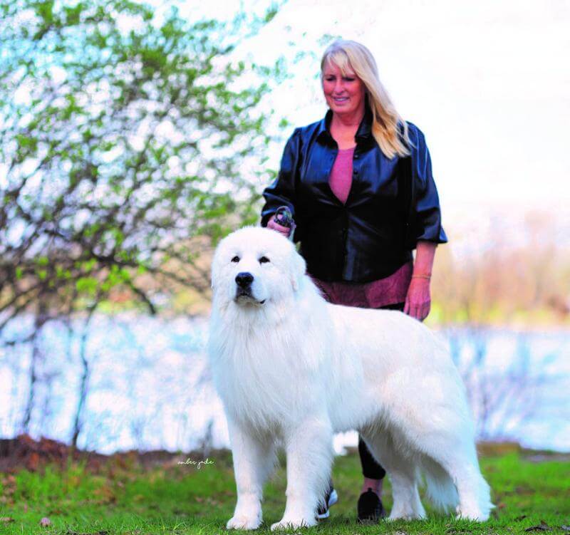 Terrie Strom, Breeder of R Pyr Great Pyrenees