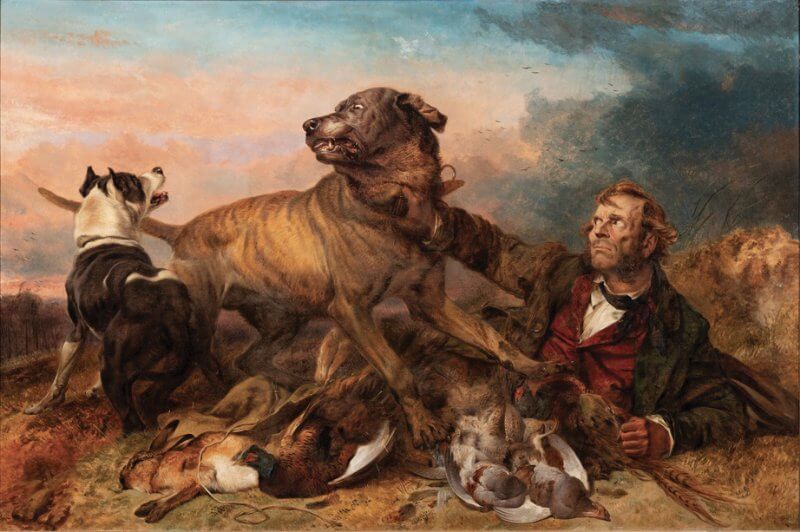Bullmastiff painting - The Poacher At Bay by Richard Ansdell 1865
