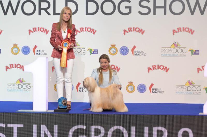 World Dog Show Madrid