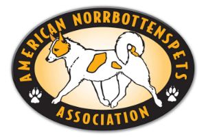 Picture of American Norrbottenspets Association