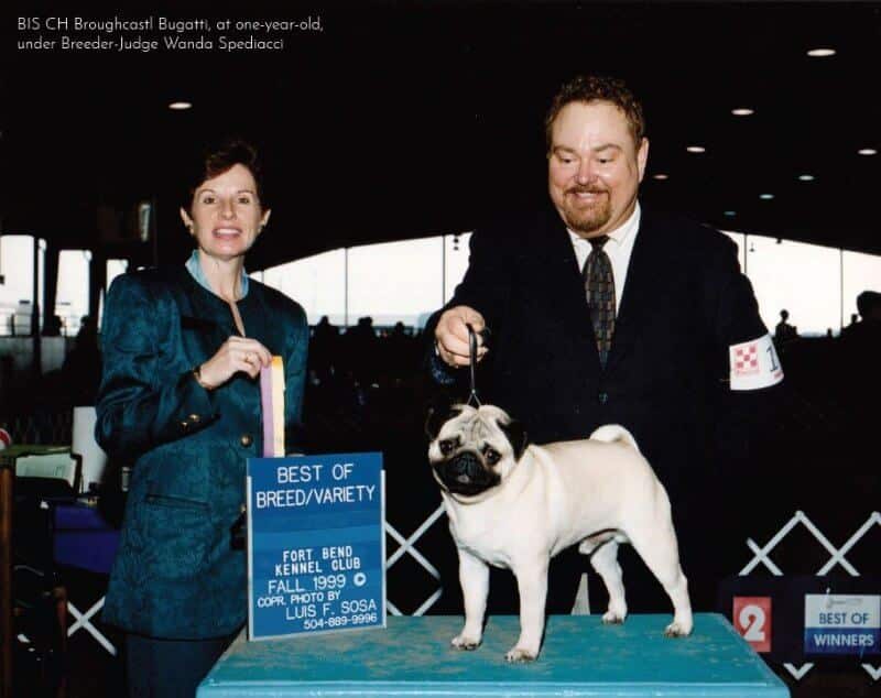 Douglas Huffman with his dogBIS CH Broughcastl Bugatti, at one-year-old, under Breeder-Judge Wanda Spediacci