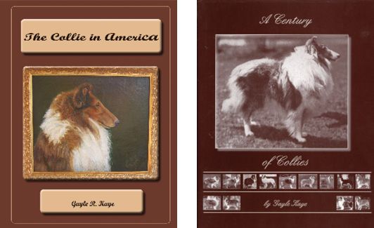 Cover of the DWAA Best in Show award-winning book, authored by Gayle Kaye.