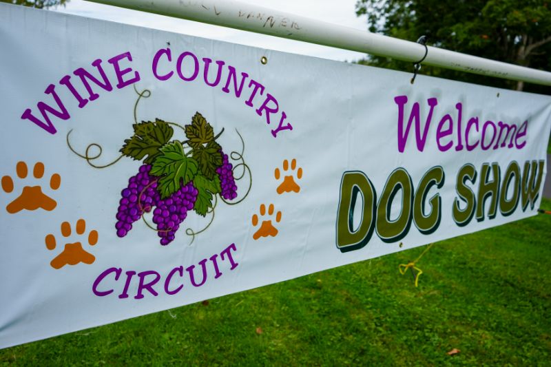 Wine Country Circuit Dog Show