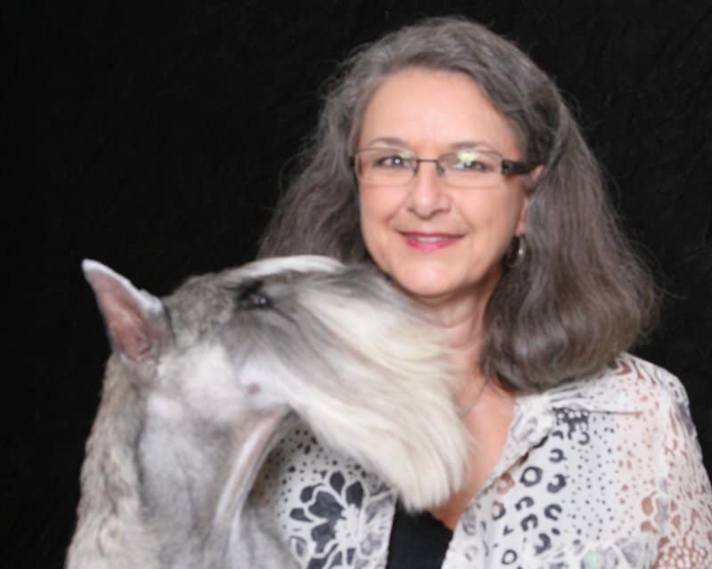Melanie Cardell with her Standard Schnauzer dog