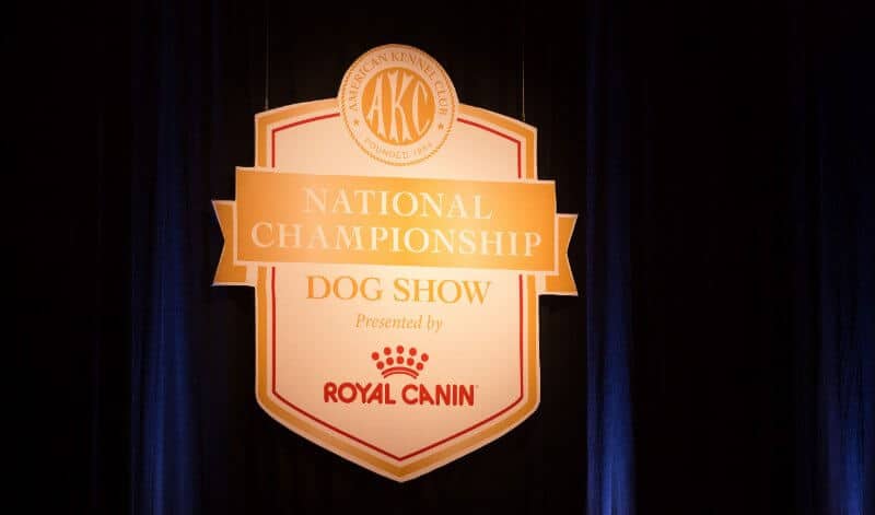 2022 AKC National Championship