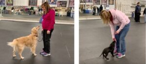 obedience training, left: Betsy Scapicchio with her dog right: Linda Brennan