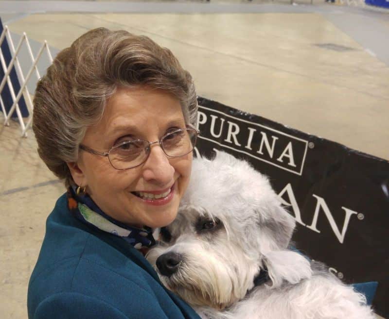 Owner Handler Anita Kay Simpson with her Dandie Dinmont Terrier dog