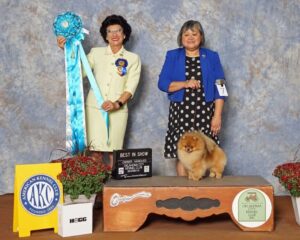 Owner Handler Christie Lisenbee with her Pomeranian at a dog show