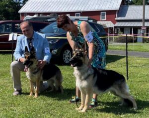 Owner Handlers Andrew and Dara Conklin with her Von Darste German Shepherds