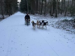 Wheelchair Mushing: Jared with Titan and Friends - front view